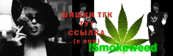 шишки Бородино