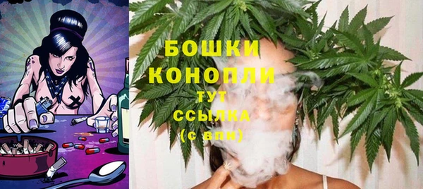 мдпв Аша