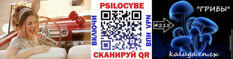 где можно купить наркотик  ОМГ ОМГ ссылки  Галлюциногенные грибы прущие грибы  Юрьев-Польский 